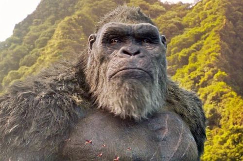 'Godzilla vs. Kong': Cứu tinh Hollywood hay chỉ là trường hợp cá biệt?