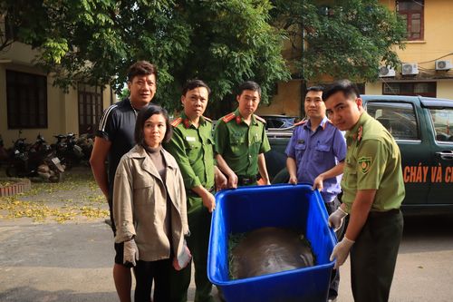 Vườn quốc gia Cúc Phương cứu hộ con giải lớn nhất từ trước tới nay