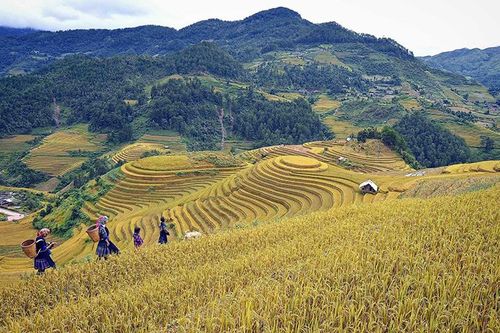 Mù Cang Chải với mục tiêu 'huyện du lịch'