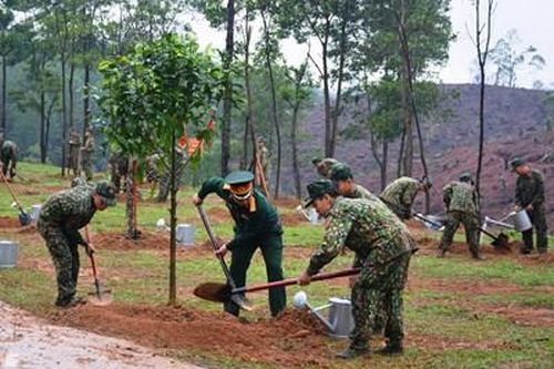 Toàn quân nâng cao hiệu quả việc trồng cây