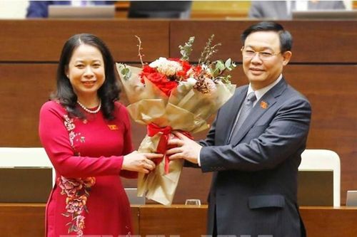 Kỳ họp thứ 11, Quốc hội khóa XIV: Đồng chí Võ Thị Ánh Xuân được bầu giữ chức Phó Chủ tịch nước