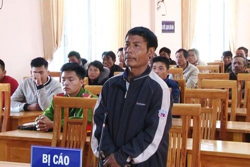 'Ăn của rừng'