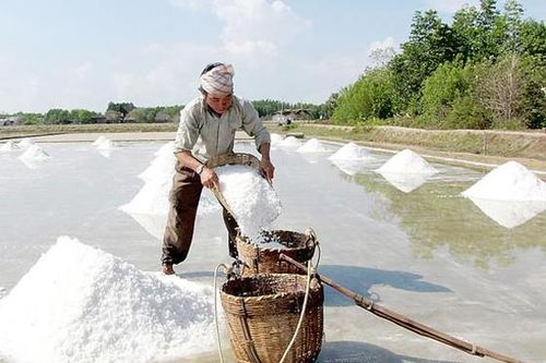 Kết nối doanh nghiệp và ứng dụng khoa học công nghệ trong nghề muối