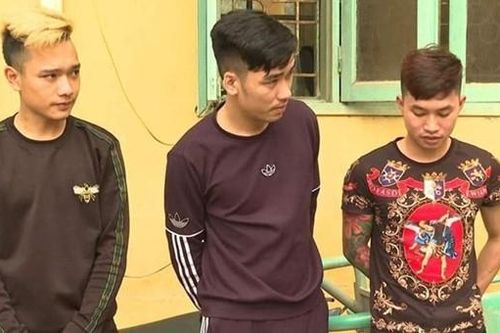 Điều tra mở rộng vụ việc đào trộm cây cảnh để bán kiếm lời