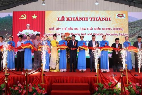 Khánh thành nhà máy chế biến rau quả xuất khẩu được đầu tư trên 31 tỷ đồng