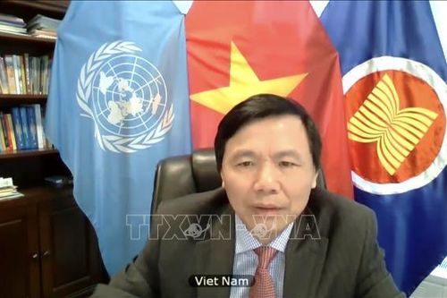 Việt Nam kêu gọi tăng cường các nỗ lực thực hiện hiệp định hòa bình tại Mali