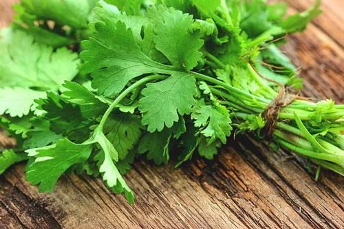 Thực phẩm kỵ rau mùi, chớ dại kết hợp cùng kẻo rước bệnh