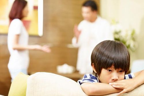 Mẹ stress vì chọn trường cho con vào lớp 1