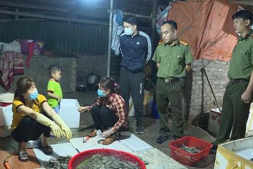 Đột kích cơ sở bơm tạp chất vào tôm để tăng trọng lượng