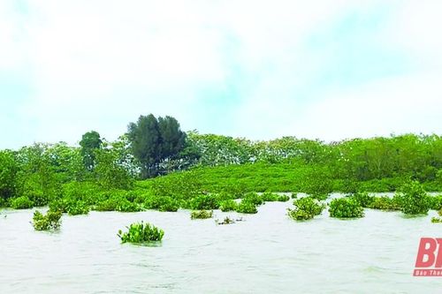Mênh mông sóng nước Cồn Trường