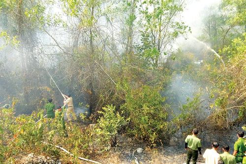 An Giang: Bảo vệ rừng mùa nắng nóng