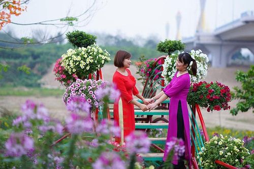 Trồng hoa để làm dịch vụ du lịch