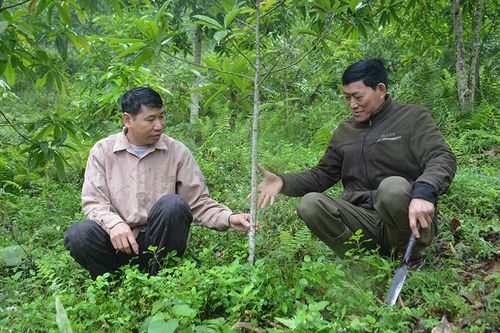 Thượng Giáp nỗ lực giảm nghèo