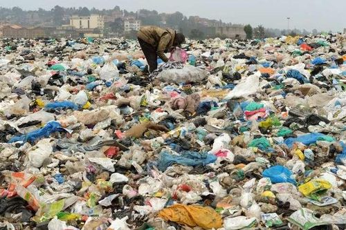 Công nghệ sản xuất túi ni-lông phân hủy sinh học
