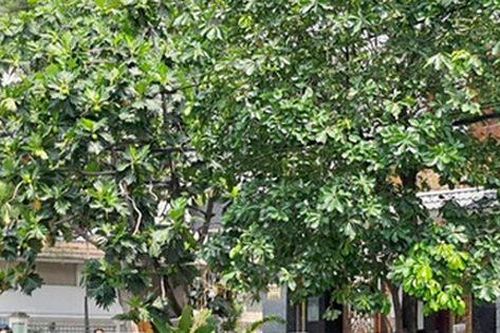Nam thanh niên tử vong bất thường sau 1 đêm ở khách sạn