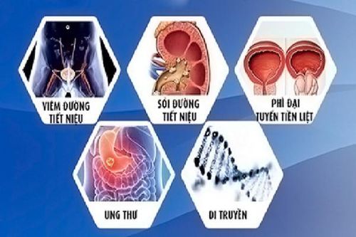 Điểm mặt 'thủ phạm' gây tiểu máu