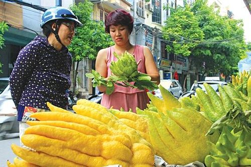 Quả phật thủ: Nhiều công dụng hữu ích cho sức khỏe