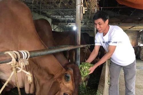 Đưa xử lý chất thải chăn nuôi vào nền nếp