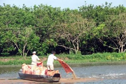 Tăng cường phòng, chống dịch bệnh trong nuôi trồng thủy sản