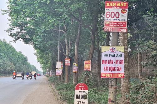 'Ma trận' quảng cáo đất nền trên Đại lộ Thăng Long