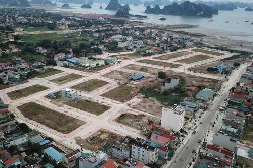 Chuẩn bị có 'sóng', UBND Vân Đồn lập tức chỉ đạo khẩn về kiểm soát giá đất