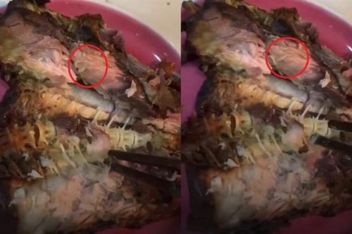 Cửa hàng thực phẩm sạch CleverFood bị phạt 17 triệu đồng vì bán cá kho có giòi