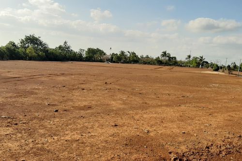 Gia Lai chỉ đạo làm rõ thông tin 'xẻ' đất nông nghiệp, tự phân lô bán