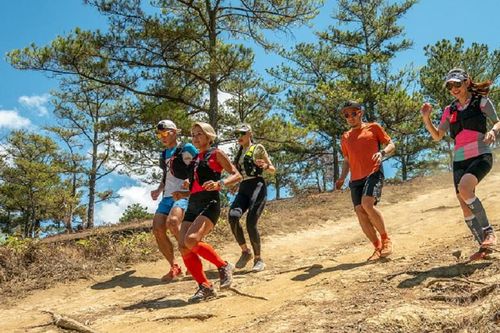 Khám phá Đà Lạt thơ mộng qua giải chạy Lâm Đồng Trail 2021