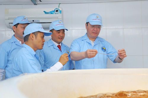 Chủ tịch UBND tỉnh thăm các mô hình phát triển kinh tế tại Quỳnh Lưu