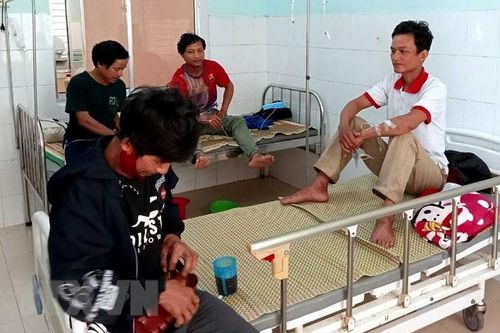 Quảng Nam: Năm bệnh nhân ngộ độc nấm đã dần ổn định sức khỏe