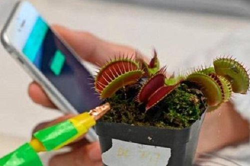 Công nghệ robot giúp người nông dân 'giao tiếp' với cây trồng