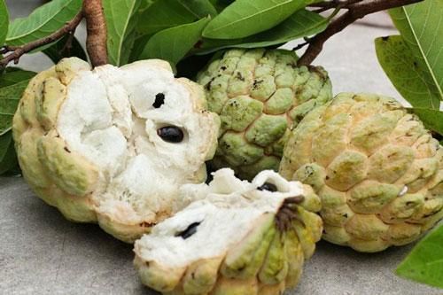 Quả na ngon ngọt, giàu dinh dưỡng nhưng người mắc 4 bệnh sau nên tránh xa kẻo 'rước họa vào thân'