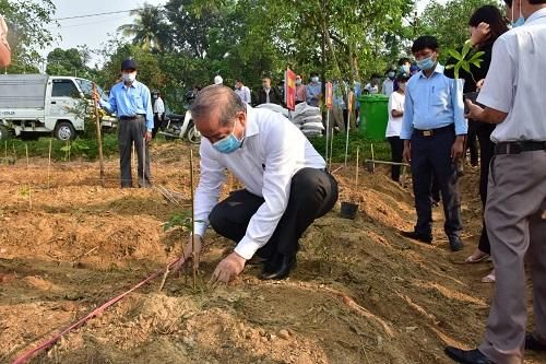 Thừa Thiên Huế: Trồng mới ít nhất 7 triệu cây xanh trong 5 năm tới