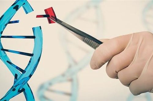 Điểm sáng khởi nghiệp ngành y tế và chăm sóc sức khỏe