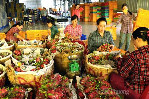 Doanh nghiệp muốn hưởng lợi từ ACFTA cần lưu ý gì về xuất xứ hàng hóa?