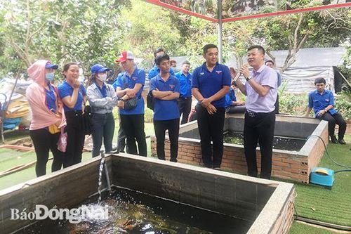 Trang bị kiến thức, kỹ năng cho cán bộ Đoàn cơ sở