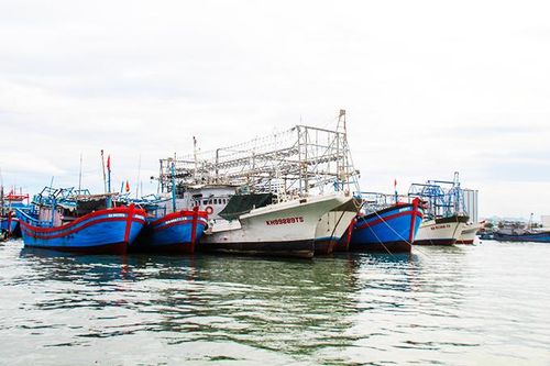 Tăng cường phối hợp quản lý hoạt động khai thác hải sản