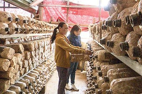 Hiệu quả từ sáng kiến tiêu thụ sản phẩm