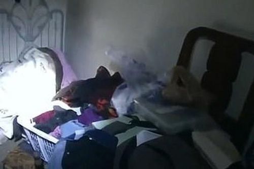 Đi làm về, cô gái trẻ giật mình thấy phòng bị bới tung, cảnh tượng trên giường khiến cô lập tức báo cảnh sát