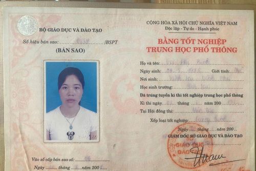 Trường Tiểu học Phước Long 2 (Khánh Hòa): Nghi vấn một giáo viên sử dụng bằng giả