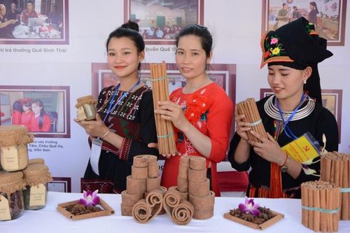 Đổi mới cây trồng chủ lực ở Trấn Yên