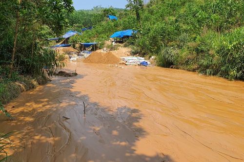 Truy quét hơn 100 người khai thác vàng trái phép khỏi mỏ vàng Bồng Miêu