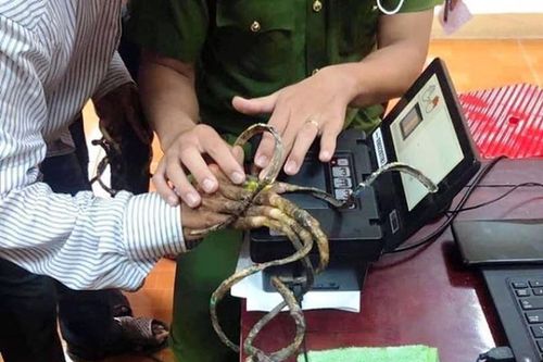 Bí mật ẩn sau bộ móng tay dài nhiều mét của các 'dị nhân'