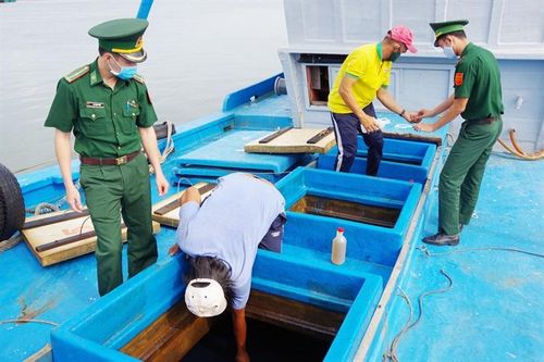 Hải đoàn 18 BĐBP bắt vụ vận chuyển 80.000 lít dầu DO không rõ nguồn gốc