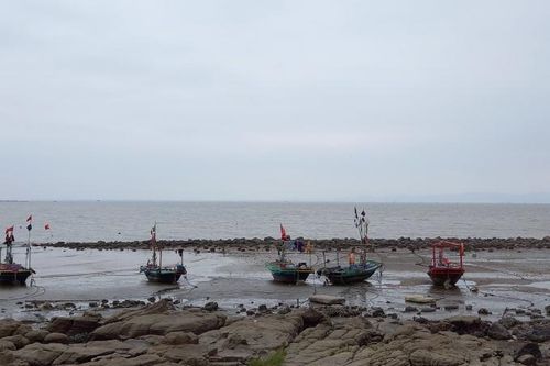Tổ chức tuyến phố đi bộ tại bờ biển Đồ Sơn