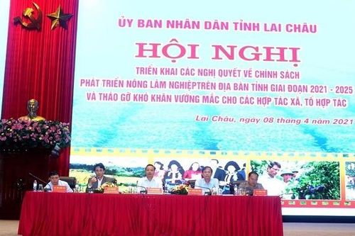 Lai Châu triển khai các Nghị quyết về phát triển nông-lâm-nghiệp giai đoạn 2021 – 2025