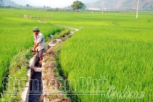 Ðảm bảo nước sản xuất lúa đông xuân