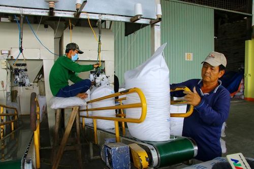 Đồng Tháp xuất khẩu gạo tăng