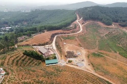 Nghệ An: Đầu tư dự án lớn trên đất lâm nghiệp khi chưa được cấp phép