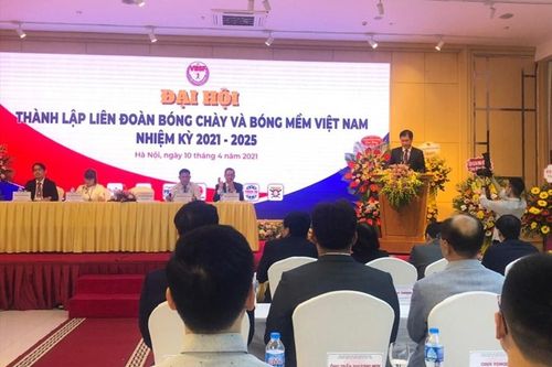 Ra mắt Liên đoàn Bóng chày và bóng mềm Việt Nam